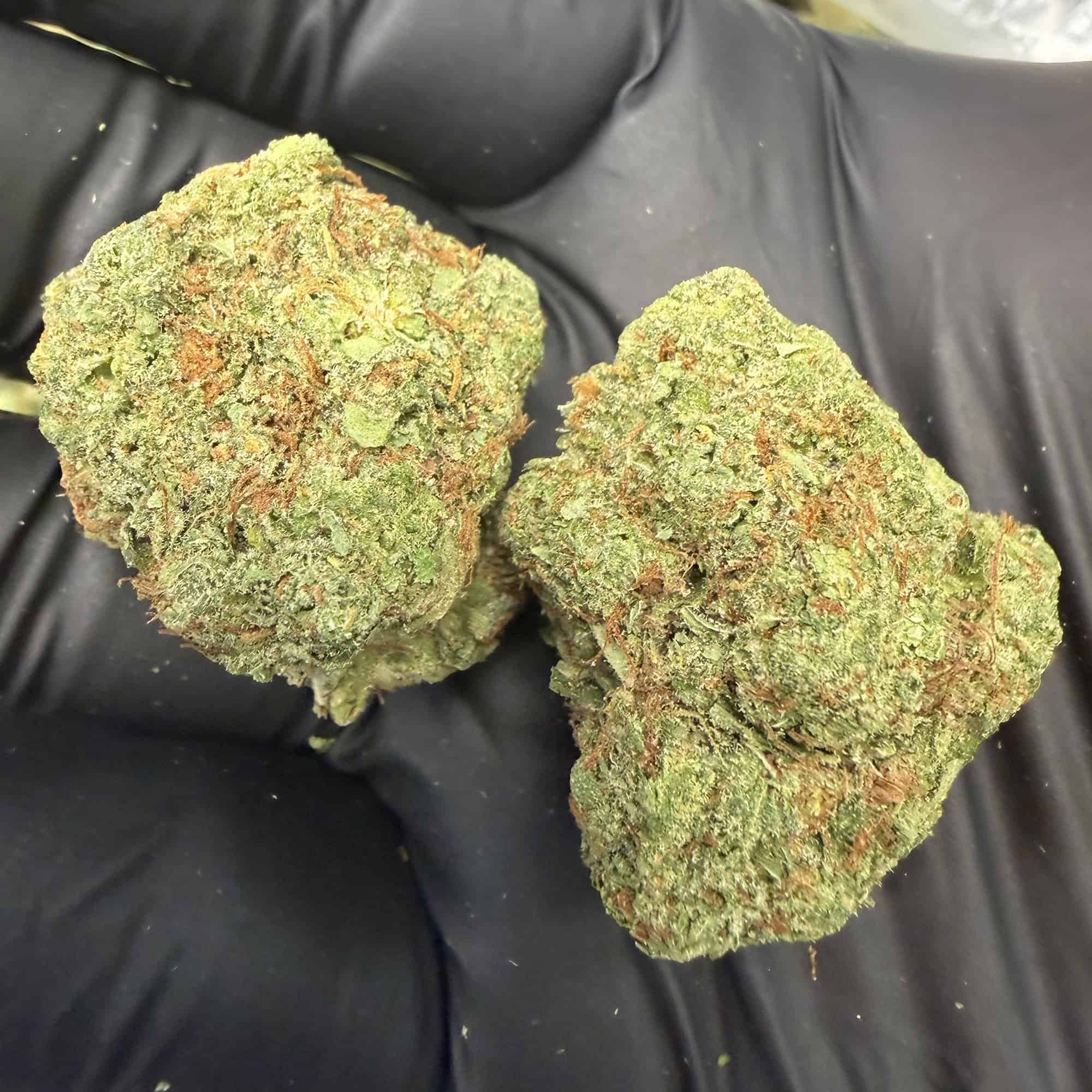 Candy Mob THCA Flower Wholesale