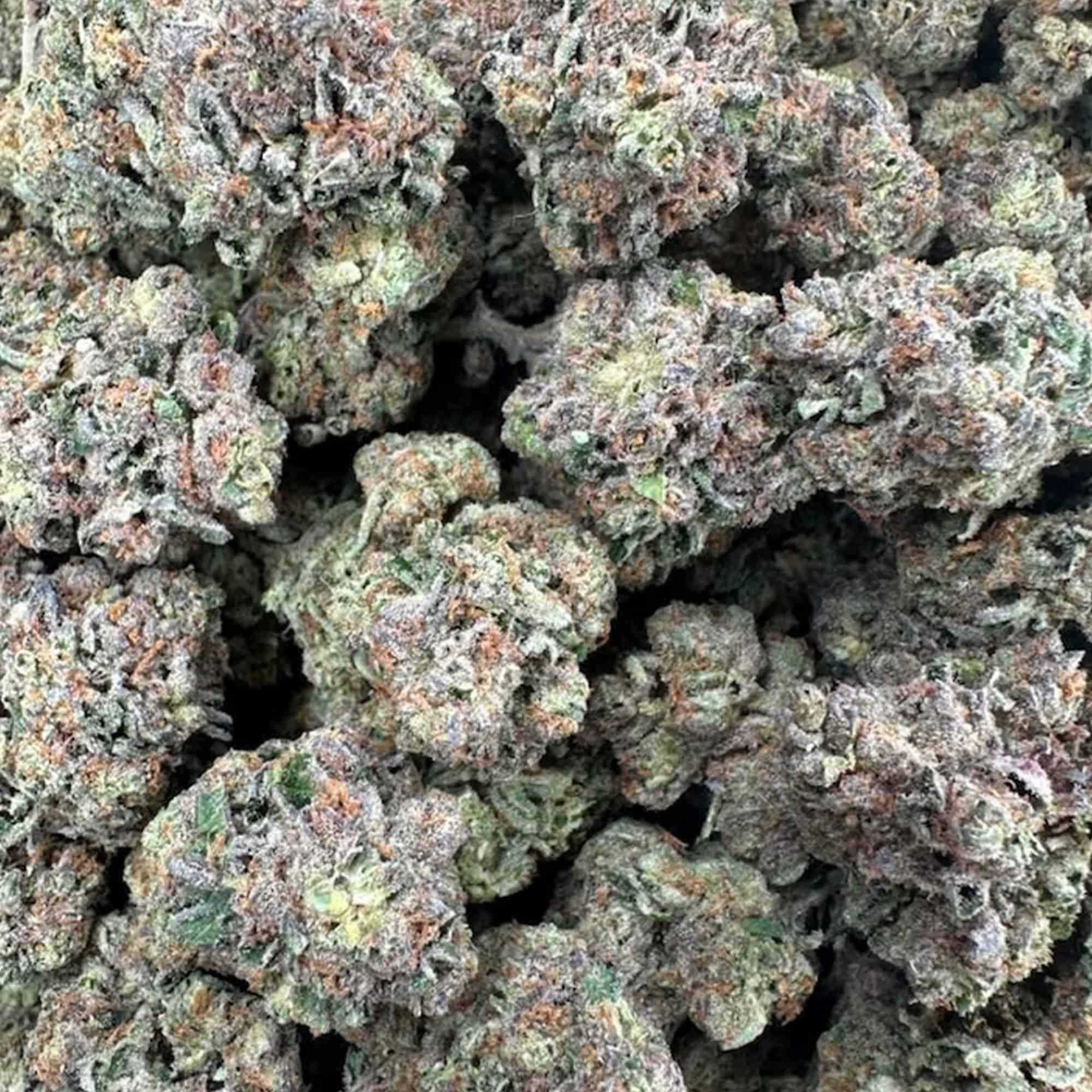 Candy Mob THCA Flower - Image 3
