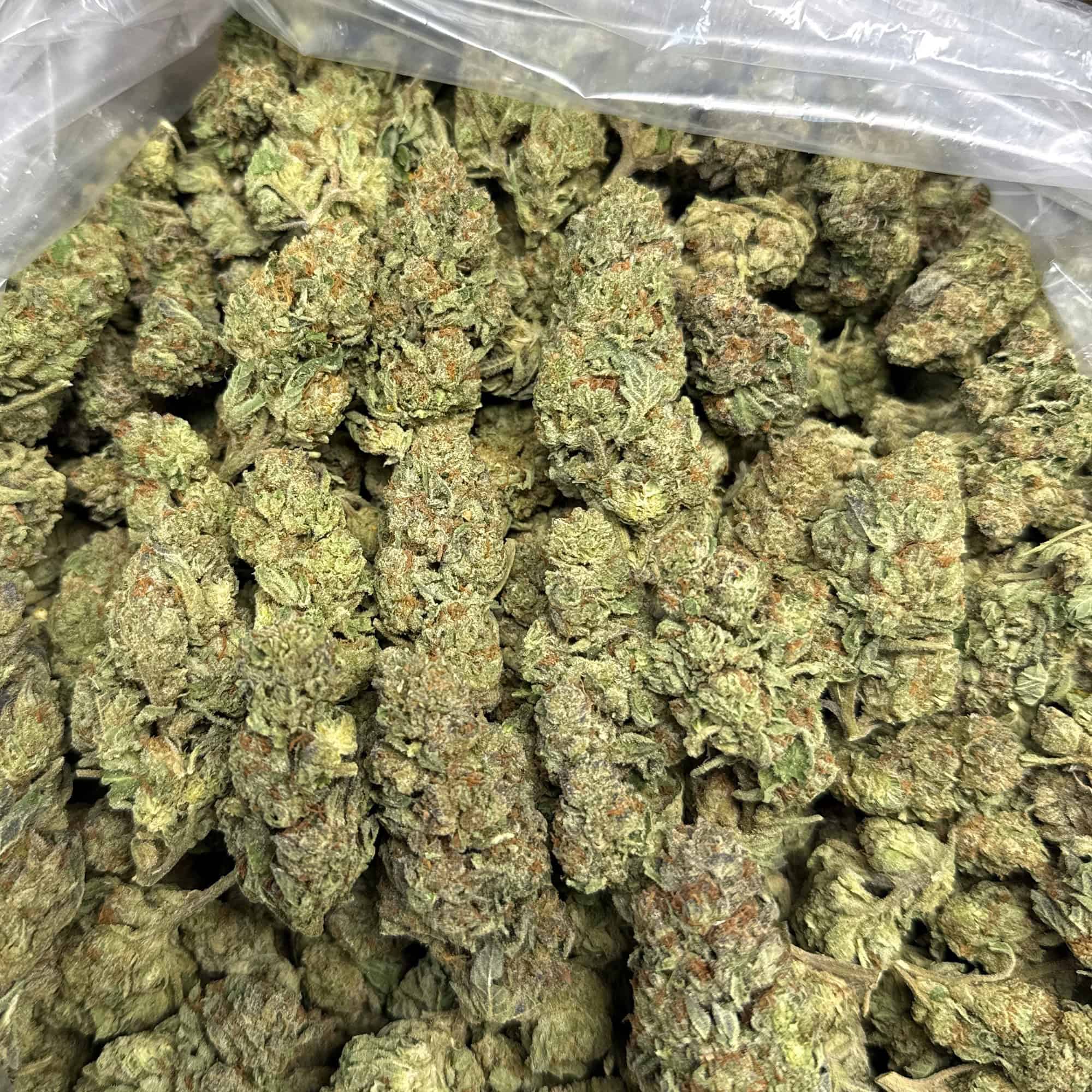 Grape Cake THCA Flower Wholesale