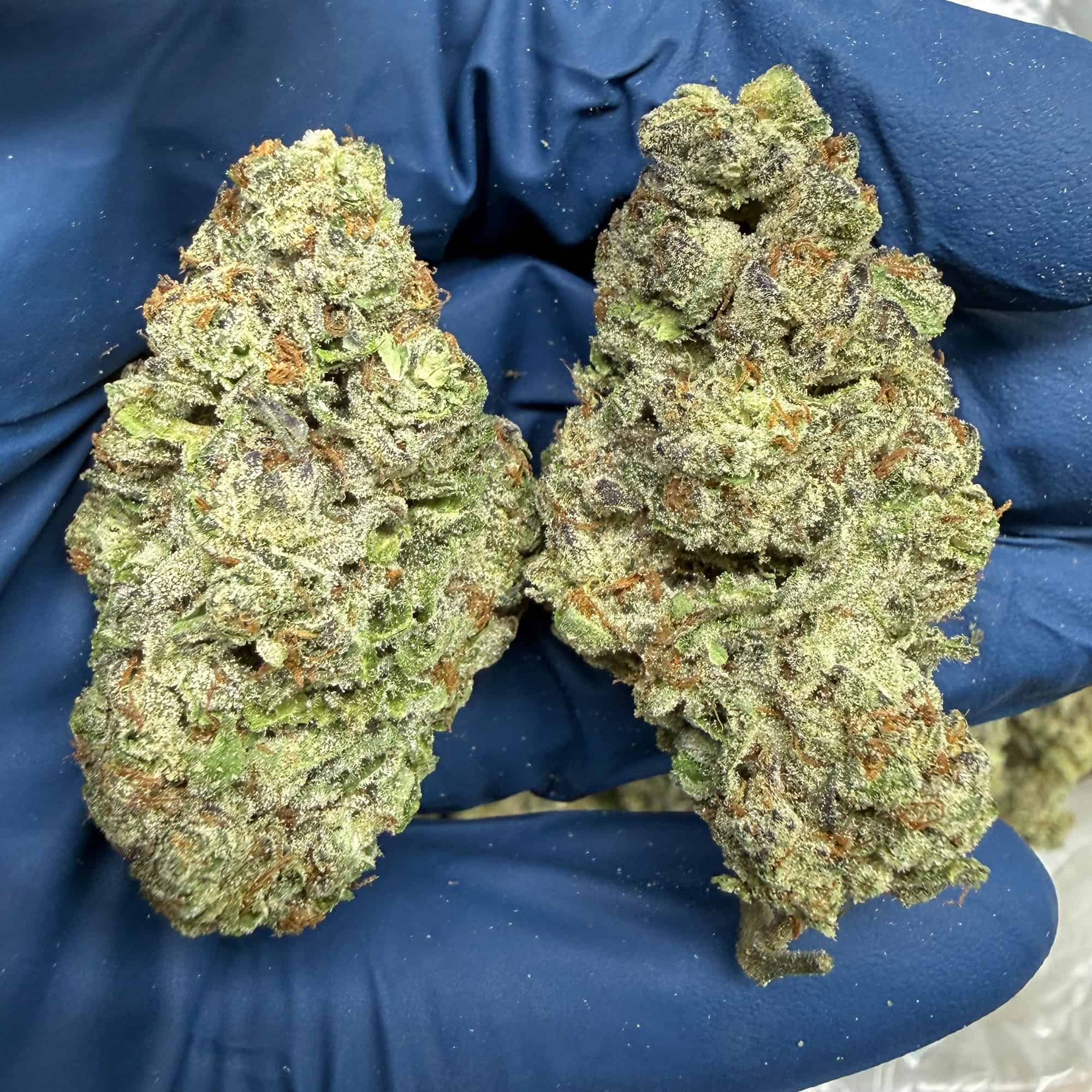 Kush Pie THCA Flower Bulk Wholesale