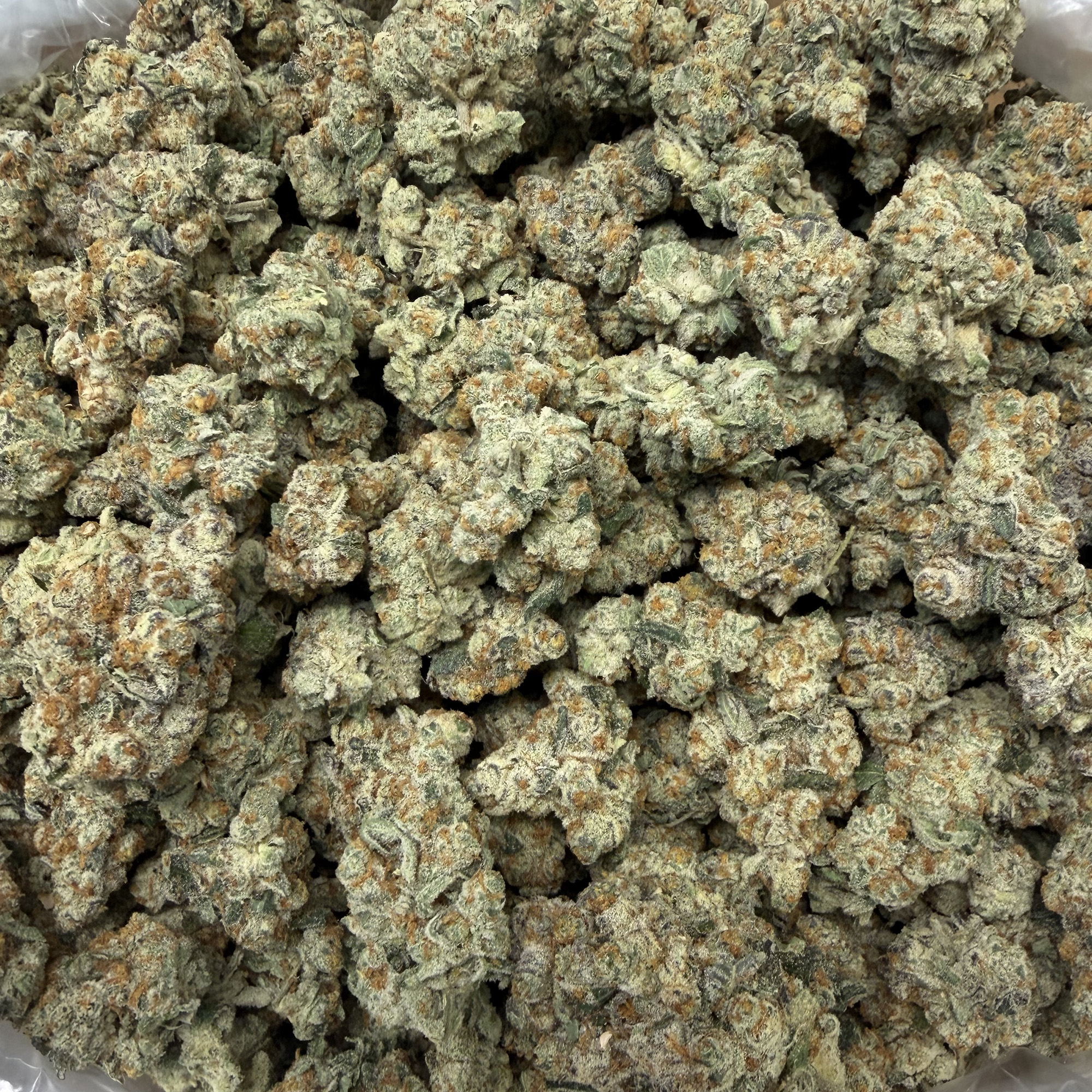 Northern Lights Bulk THCA Flower Pounds