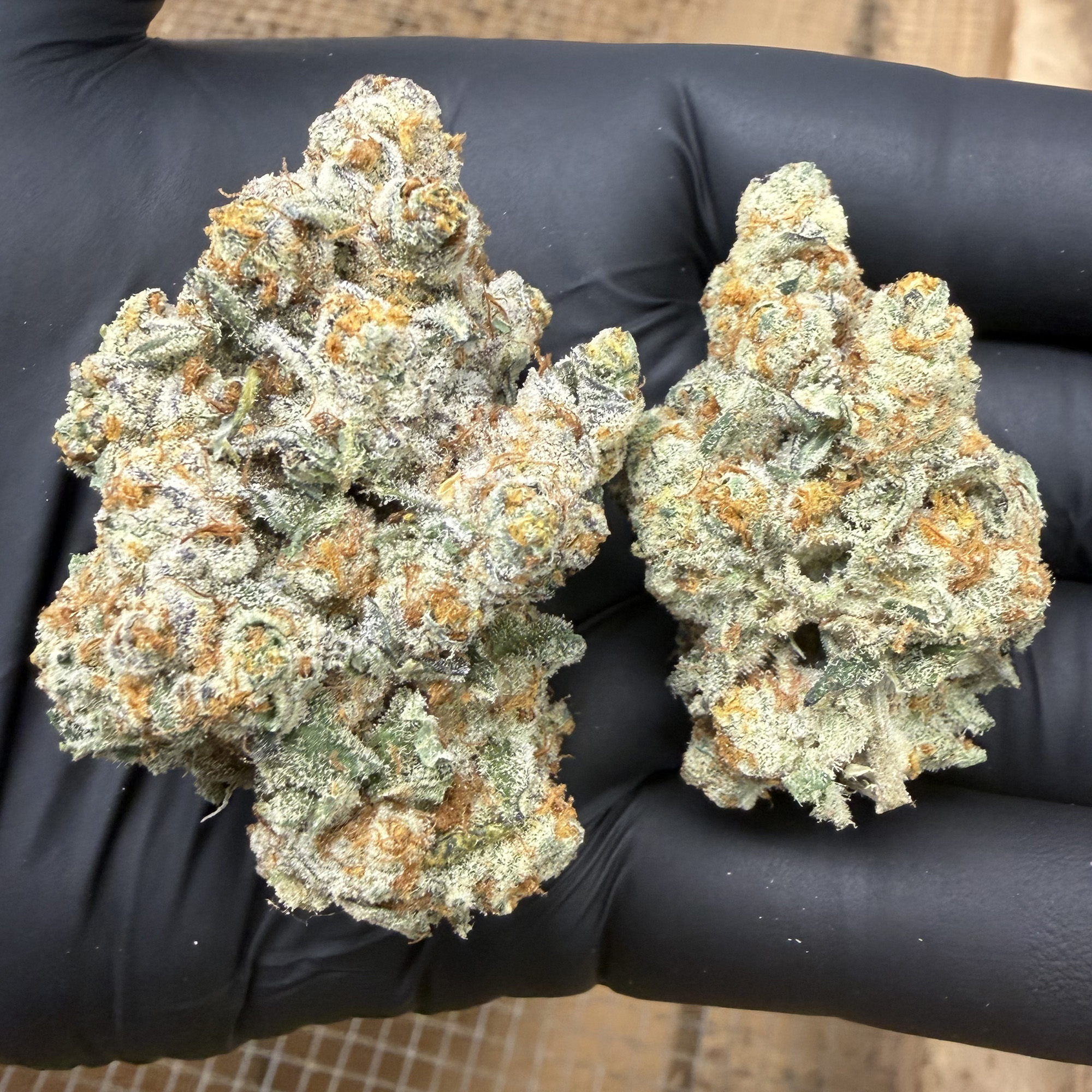 Northern Lights THCA Flower Pounds