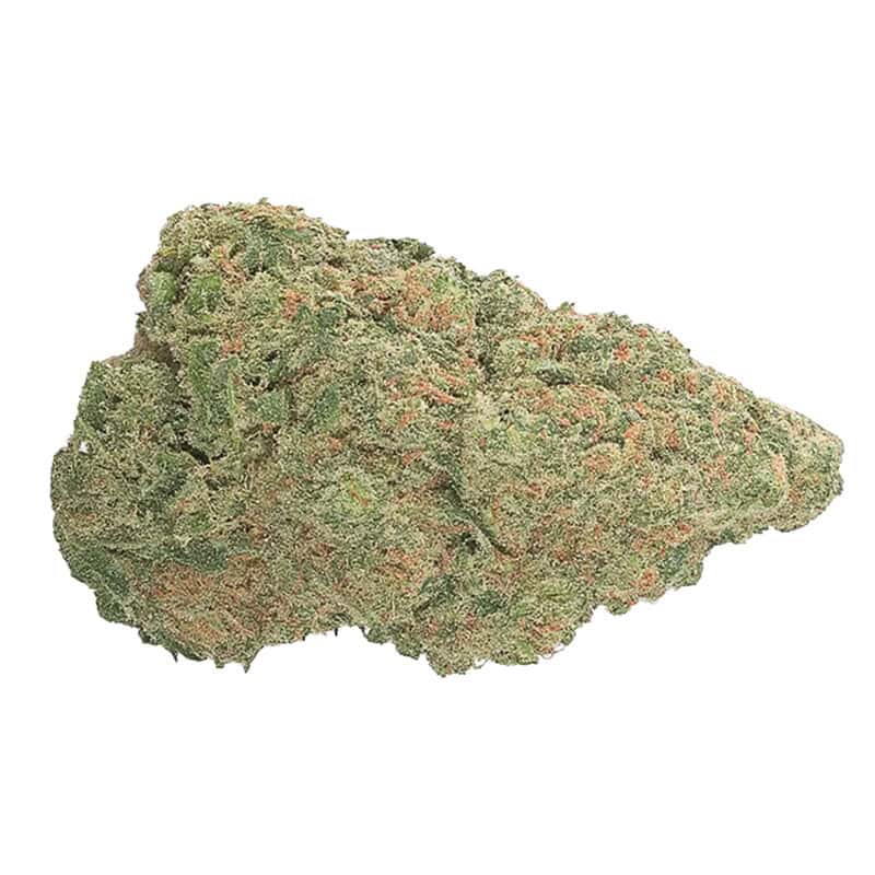 Frosted Slurpee THCA flower bud on a white background