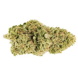 Pineapple Treatz THCA flower bud on a white background