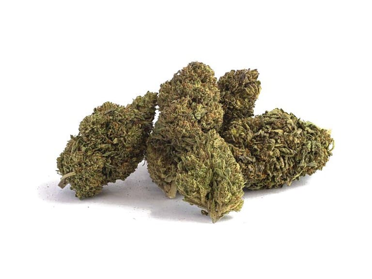 CBD hemp flower buds