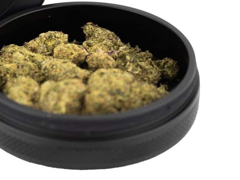 Open storage container filled with hemp flower