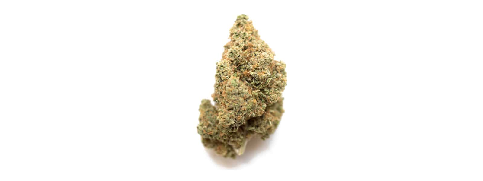 Single THCA flower bud
