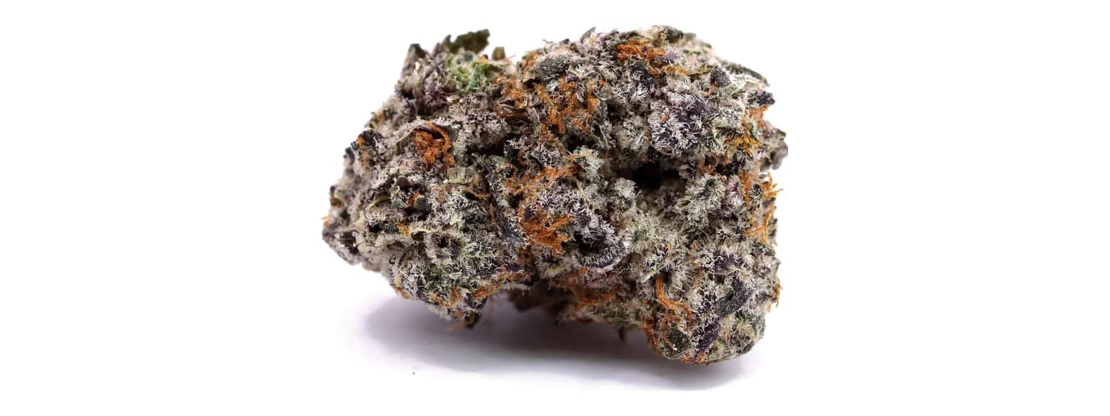 Single THCA flower bud