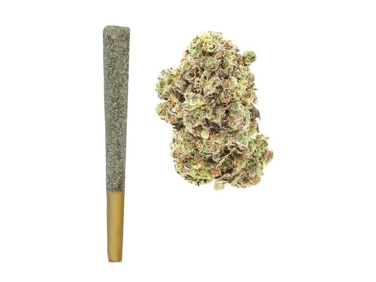 THCA pre roll next to a flower bud
